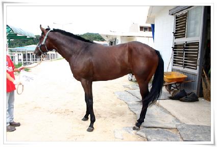 �ֵ�ӷ��� ����