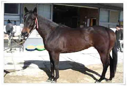 ��ܹ̱� ����