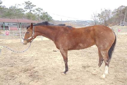 �����ͽ������� ����