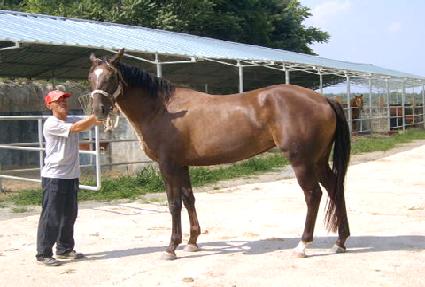 �������� ����