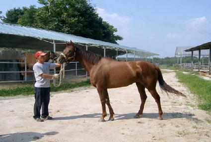 ����ÿ�����̽� ����