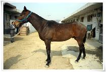 ��Ʈ���� (MOST SUNSET) ����