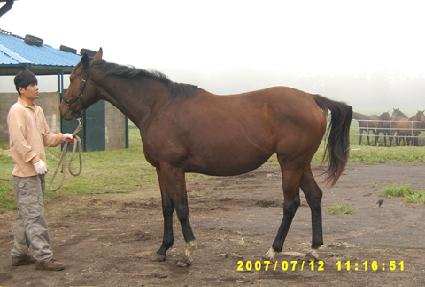 �ֺ� ����