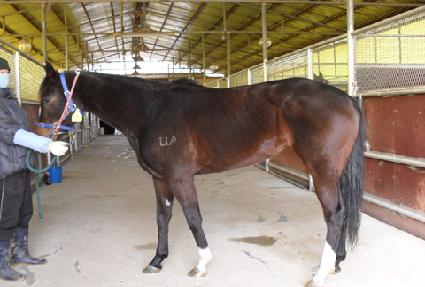 �������� ����