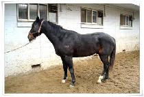 ��������� (MY PHOTO MAP) ����