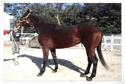 ū���� ����