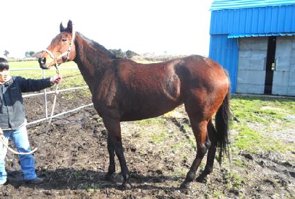 �������� ����