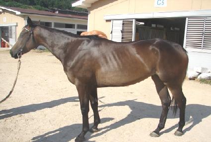 õ����ǳ ����