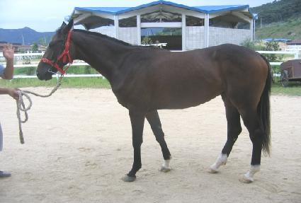 �����гʽþ� ����