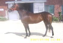 �۷θ����� (GLORY DAY) ����