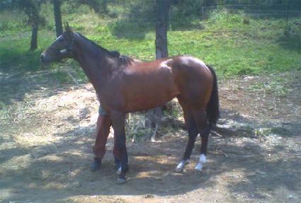 �������� ����