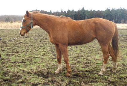 ��㸸�� ����