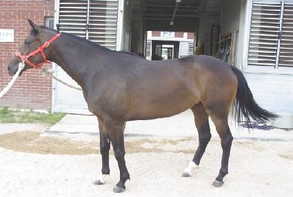 ���н� ����