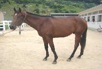 ���� (JANGHEUNG) ����