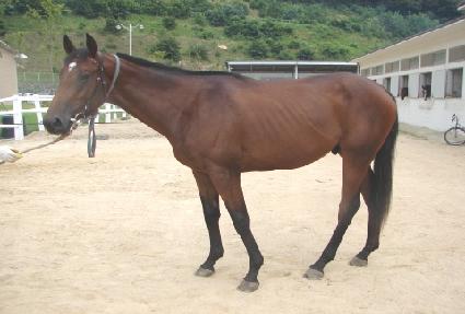 ���� ����