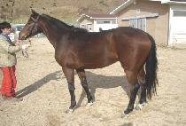 ��ҹڽ� (SANSO BOX) ����