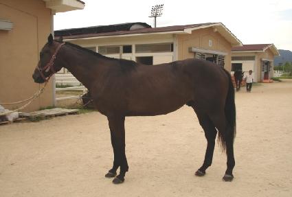 ���������� ����