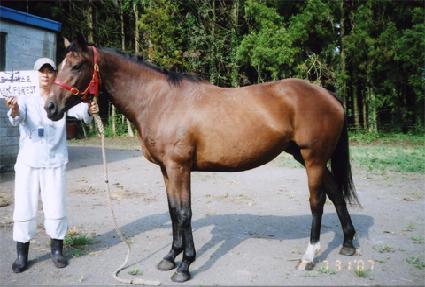 ��ũ������Ʈ ����