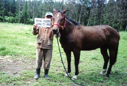 ���̿¾��Ϸ��� ����