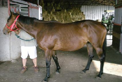 ���ǿ��� ����