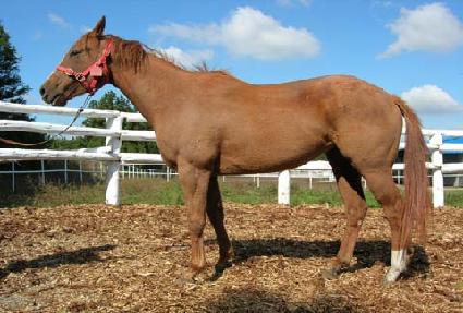 ����ġ���� ����