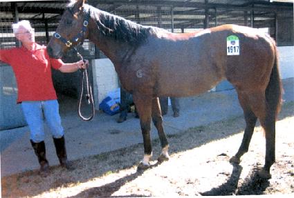 �ͻ����������� ����