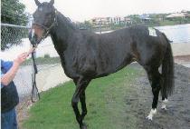 LOVING MEMORIES picture