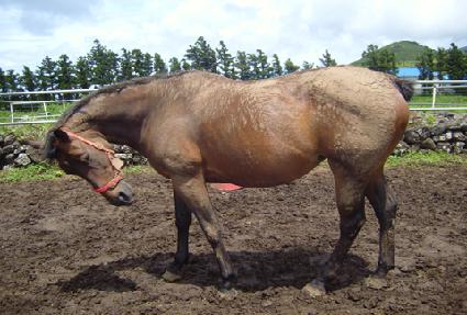 �������� ����