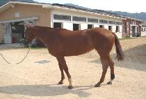 �����뺣�� (GETS NO BETTER) ����