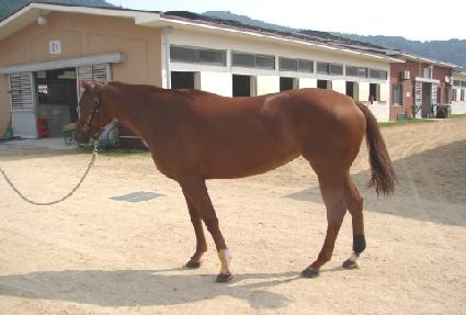 �����뺣�� ����