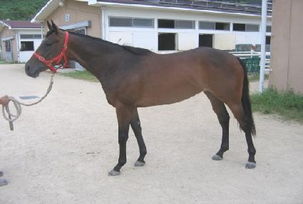 ��������ũ ����