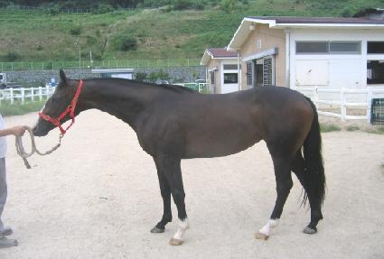 ��Ƽ�� ����