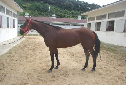 ������ ����