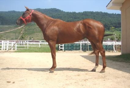 �¸����� ����