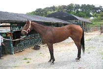 HAEDONGUI BYEOL picture