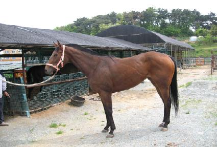 �ص��Ǻ� ����