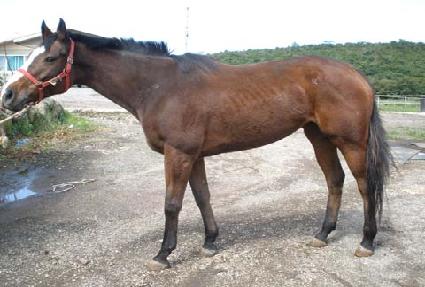 ���꽺�� ����