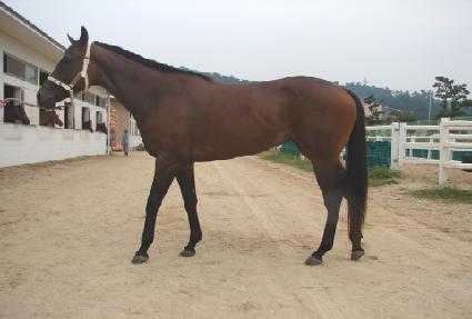 ��Ƽ�꽺�� ����