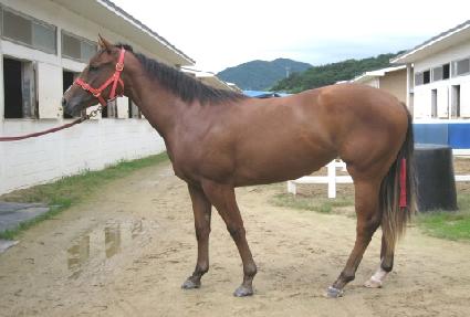 ����Ʈ����� ����