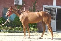 �´��ε� (ON THE ROAD) ����