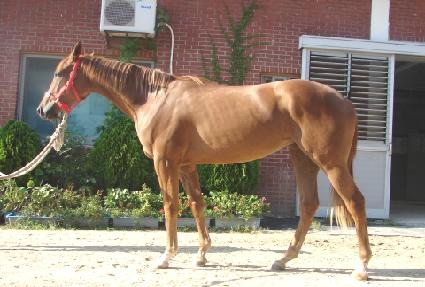 �´��ε� ����