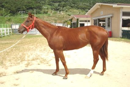 ���̸�����޵�� ����