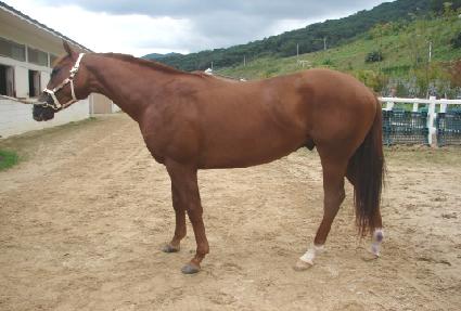 Ȳ�ݽŶ� ����