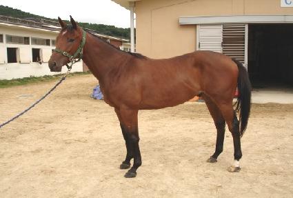 ��κ� ����