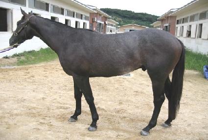 ȭ��Ʈ�� ����