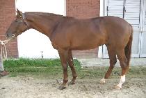 õ������ (CHEONJI YEONSEUNG) ����