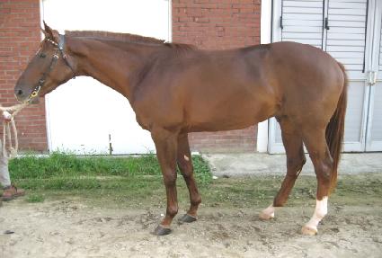 õ������ ����