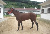 �������޽��Ǹ� (SUCCESSFUL SPIRIT) ����