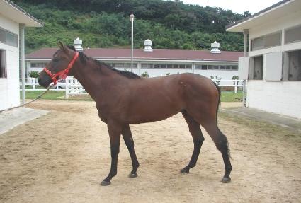 �������޽��Ǹ� ����