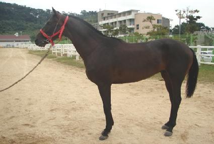 ī��κ��� ����